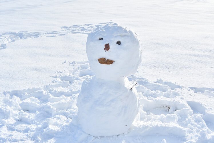 雪だるまの写真