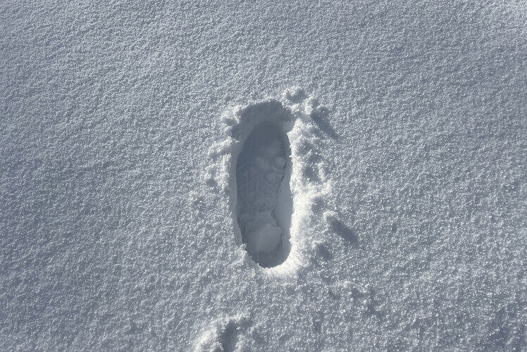 雪につく足跡の写真