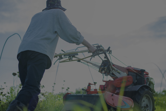 Photo of farm work